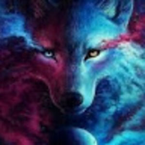 Meet your Posher, Katelynn